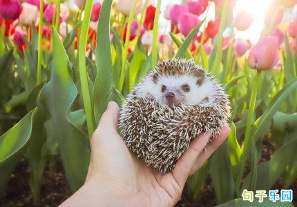 ���һ�����Ĭ���� ���һ���ɳ��ǩ��