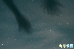 ��Ʒ���������İ� ���������İ����������̾�