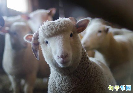 ������ô���İ� ���˸�Ц�İ�