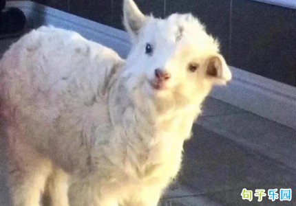 多风格自拍文案 发自拍照调侃自己说说