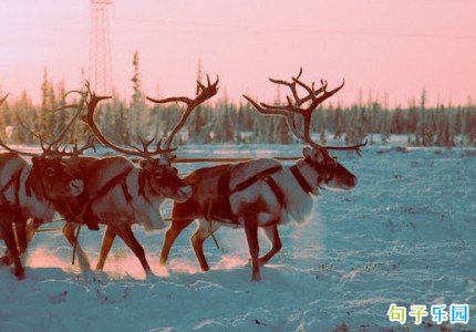 ����С���İ� С������Ȧ˵˵�̾�