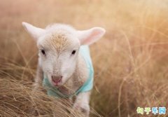 ����֮�󷢵��İ� ����Ȧ�����˵��İ�