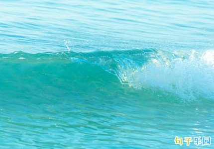 �Ȼ����ĸ߼��İ� �Ȼ����ľ�ѡ�̾�