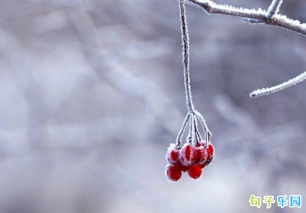 ���İ���ȫ �󺮶̾��İ����