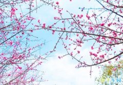 �����һ���İ���ӱ �����һ��ף���İ�