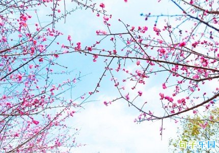 大年初一的文案新颖 大年初一简单祝福文案
