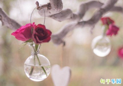 ����Ψ���İ� ���������İ��̾�