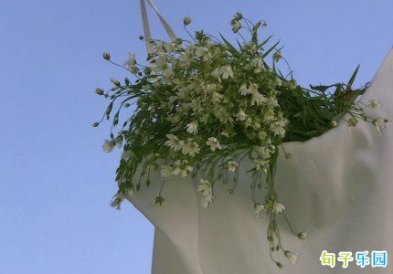 ��Щһ�۾Ͱ��ϵ���¼�İ� ����һ�۾Ͱ��ϵ�ǩ��