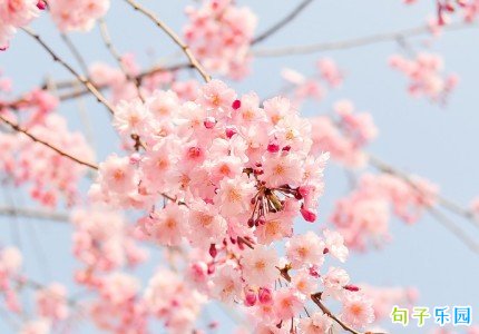 春天治愈系文案 春天的好句子短句