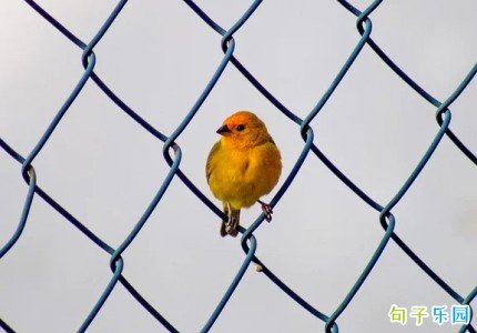 ��ů���ĵ��簲����������