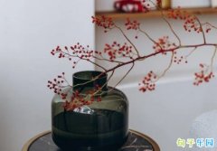 һ�۾Ͱ��ϵı��ض̾䶶��