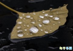 ��ˮ���������İ��̾� ��д��ˮ�����������
