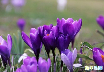 ����ů���İ� ���������İ��̾�