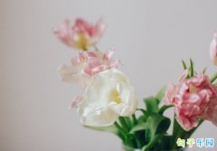 ����˹���黰�̾� ����һ�۾Ͱ��ϵ��黰�̾�