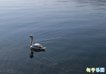 ���������簲���� �����ѹ�������ö̾�˵˵