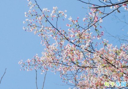 惊蛰唯美句子文案 惊蛰最美的文案短句