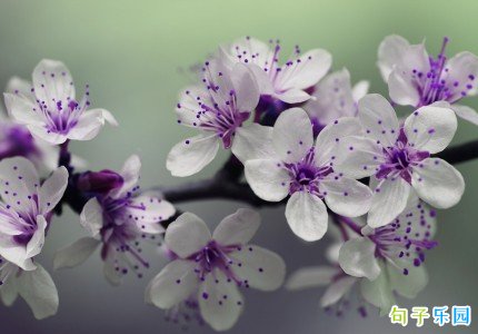 ���ݺ��İ� �����ʺϷ�ʲô˵˵
