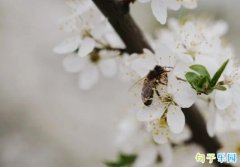 ��ĩ̤��˵˵���� ȫ��̤���İ�