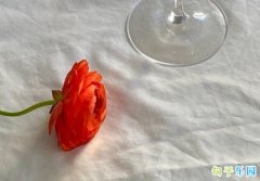 Ů��ڿ����İ�С����