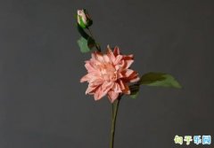 ���˸�Ů�ڸж�ĸ�׵Ļ�