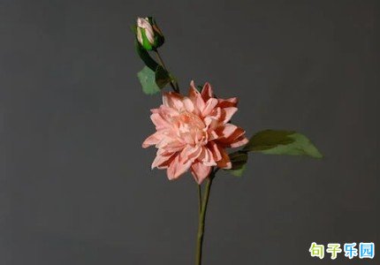 ���˸�Ů�ڸж�ĸ�׵Ļ�
