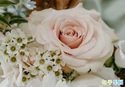 �ʺ�38��Ů�ھ���