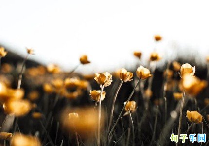 正能量积极上进短句 人人点赞正能量说说