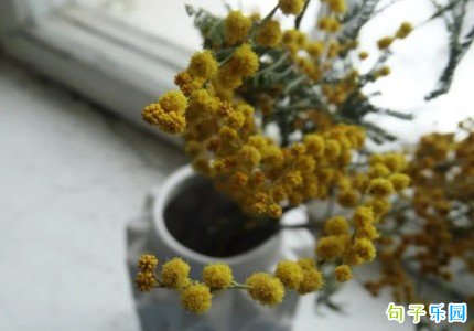 cp����ǩ���̾� cpǩ��һ��һ�䲻����