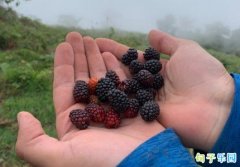 ���������ɾ��� �����ӵ�ins�İ�