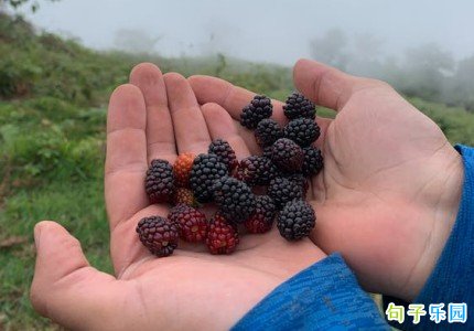 绝绝子神仙句子 绝绝子的ins文案
