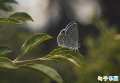 ����ף����̾�߼�