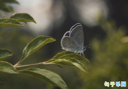 ����ף����̾�߼�