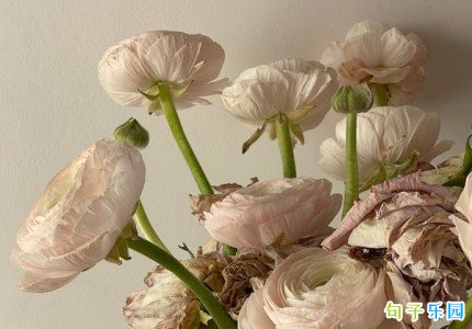 Ů���İ��̾��������