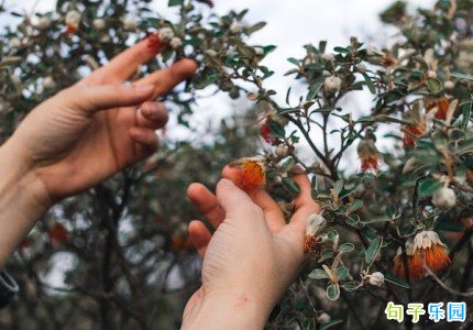 珍藏了很久的长文案