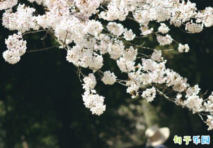 ���¶��İ� �������ö̾�