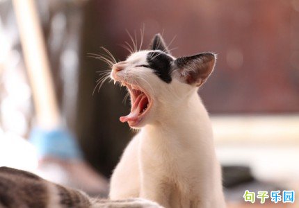 ���˽ڶ����İ� ���˽����˵ľ���