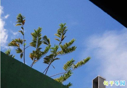 万人点赞的经典短句