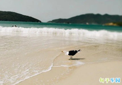 ���˵��޵���ů�İ�