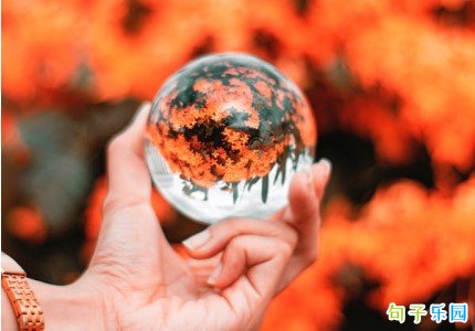 高级感高点赞句子