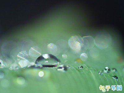 2023谷雨节气文案