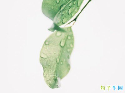 谷雨抖音文案短句