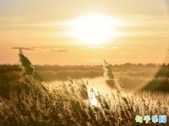 �ǳ���һ���˵˵�İ�