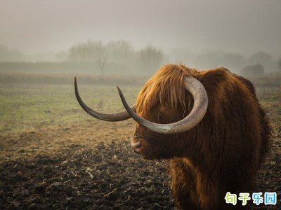 һ���ͻ��QQ��̬ɳ��