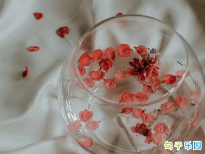 宝藏少女必备的短句