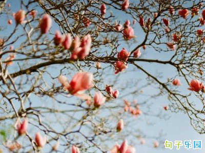 �ɸɾ����ľ����İ�