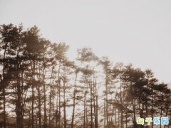 ֵ�������Ƶ�İ�