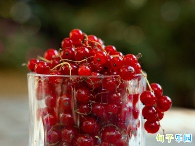 ���¼�Լ�Ķ̾�