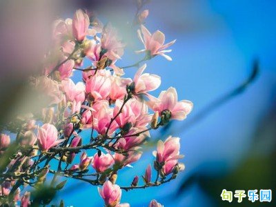 高质量恋爱文案短句