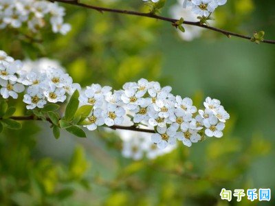 �����İ����� ������Ƶ�İ��̾�