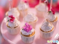 520���˽ڶ����̾�